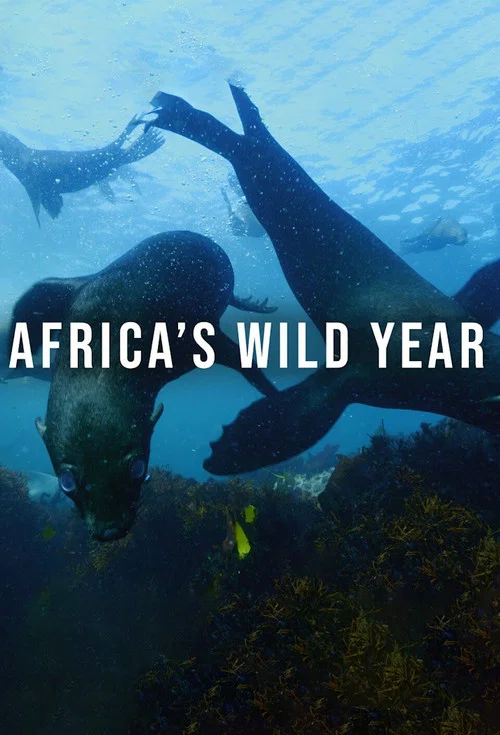 Africa's Wild Year