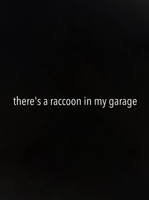 There's a Raccoon in My Garage