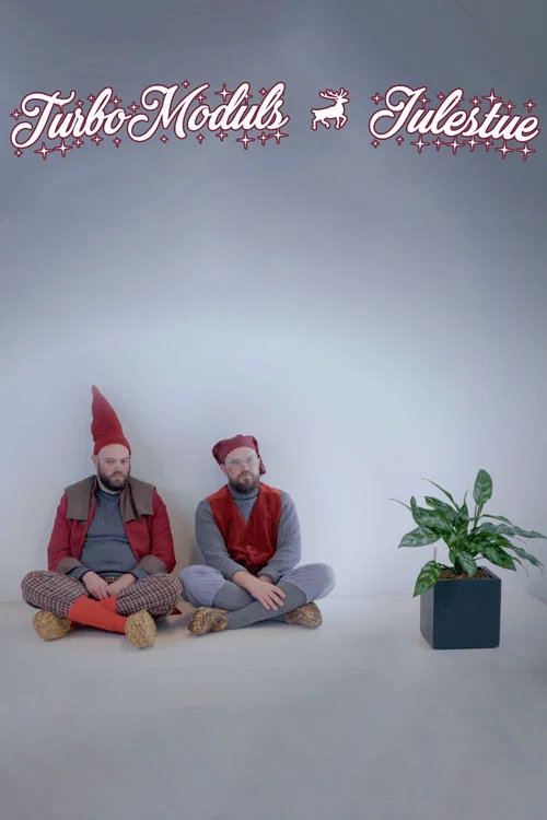 TurboModuls julestue