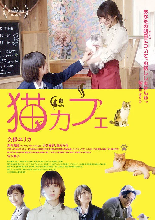 Cat Cafe