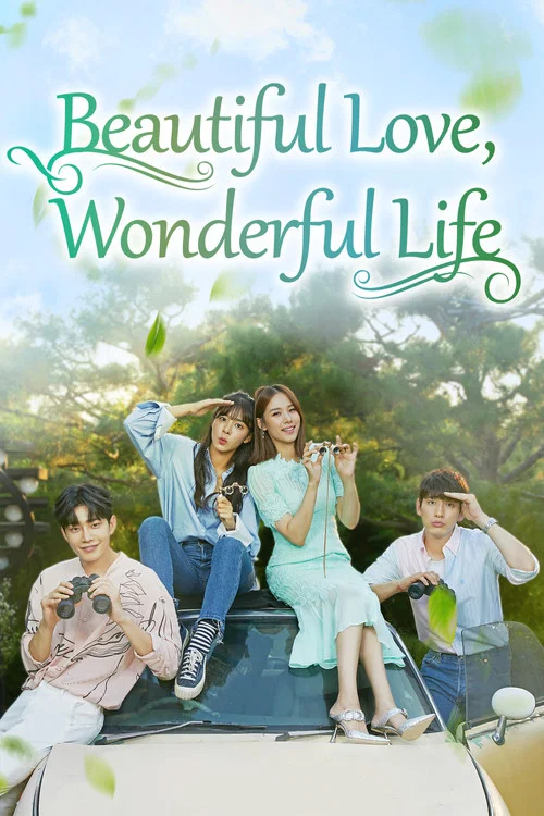 Beautiful Love, Wonderful Life