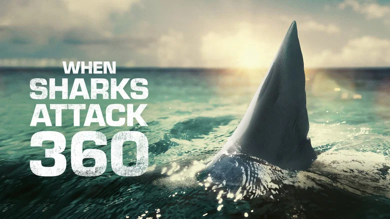 When Sharks Attack 360 still