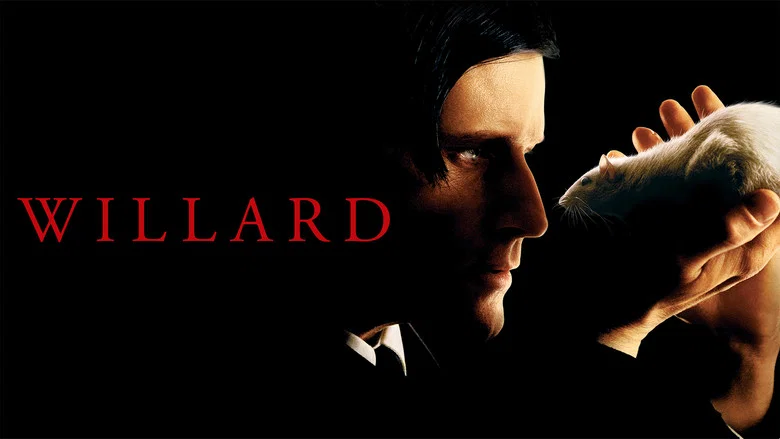 Willard still
