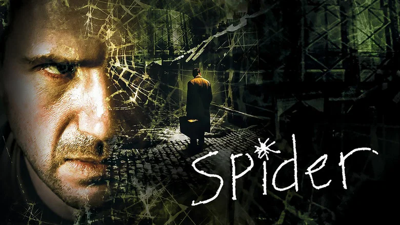 Spider still
