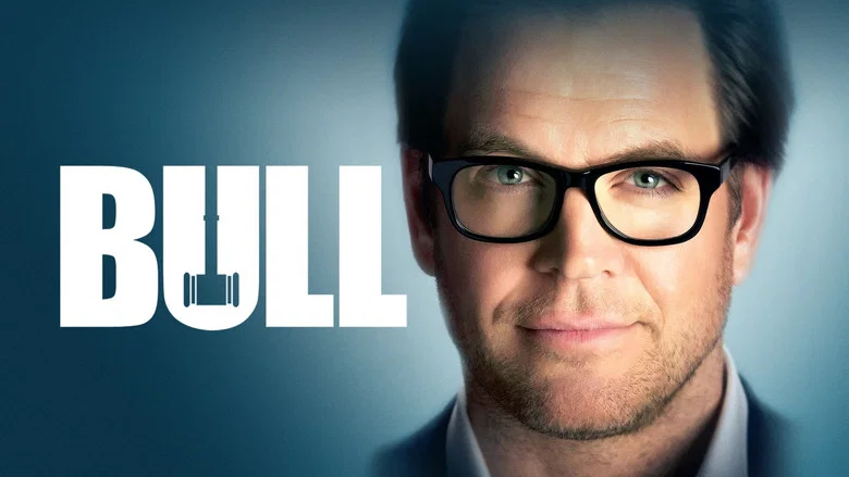 Bull still