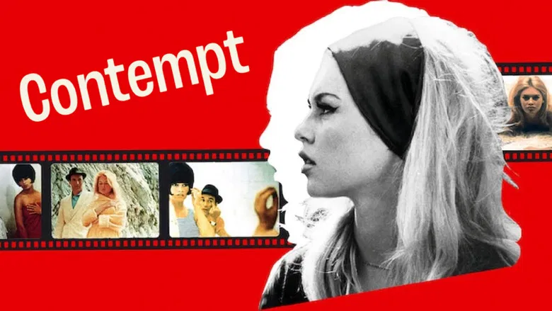 Contempt still