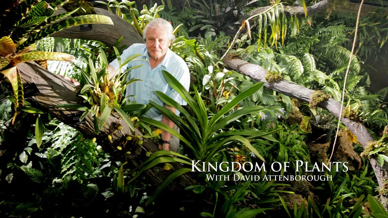 Kingdom of Plants still