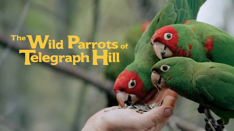 The Wild Parrots of Telegraph Hill still