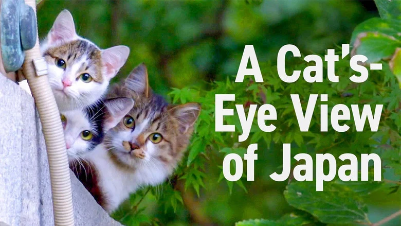 A Cat's-Eye View of Japan still