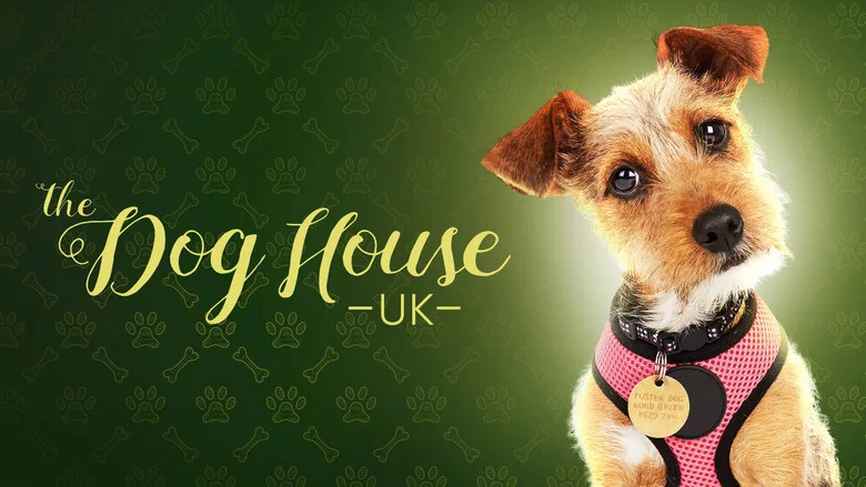 The Dog House still