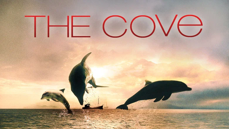 The Cove still