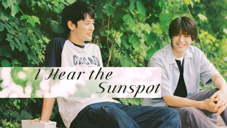I Hear the Sunspot still