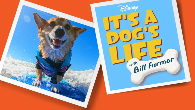 It's a Dog's Life with Bill Farmer still