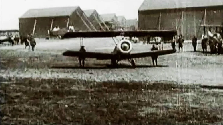 Air Australia still