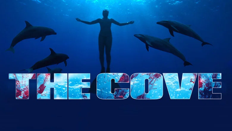 The Cove still