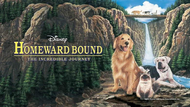 Homeward Bound: The Incredible Journey still