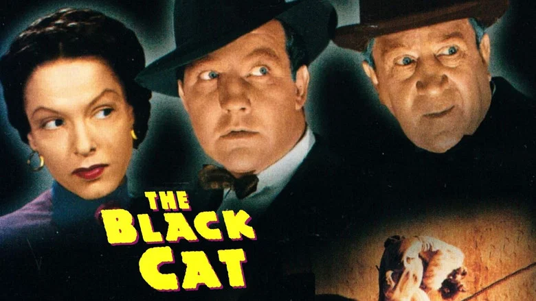 The Black Cat still