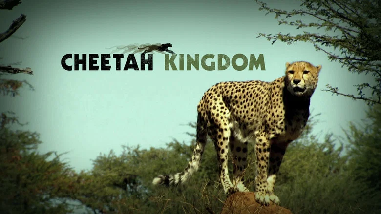 Cheetah Kingdom still