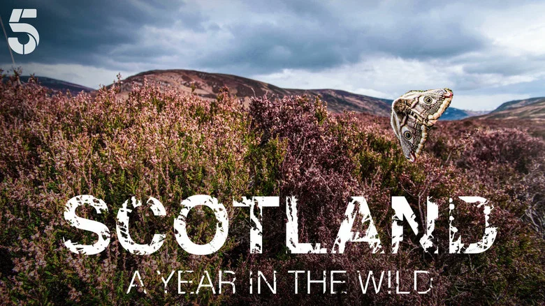Scotland: A Year In The Wild still