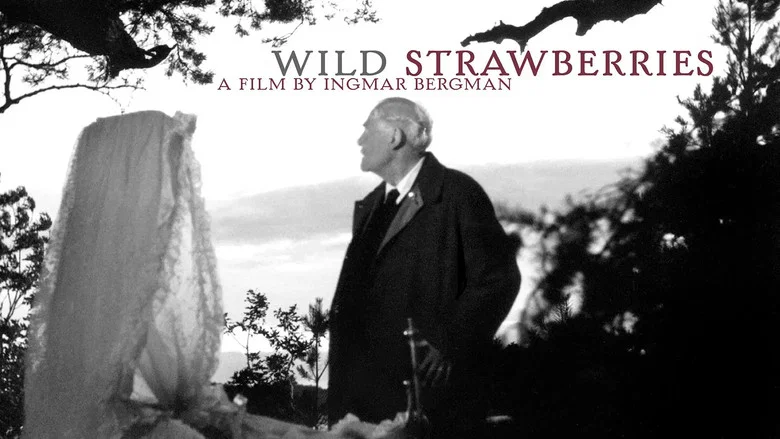 Wild Strawberries still