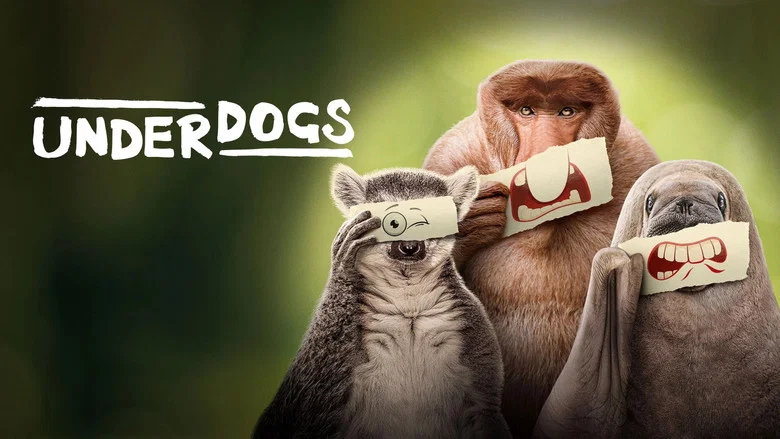 Underdogs still