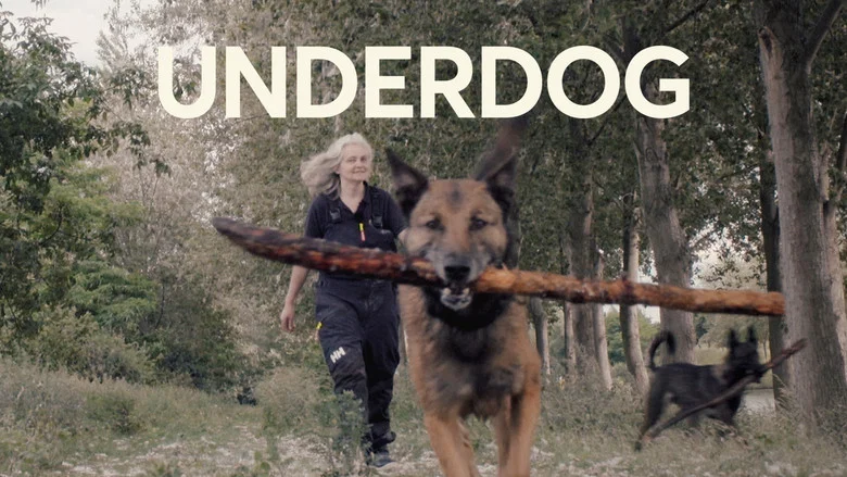 Underdog still