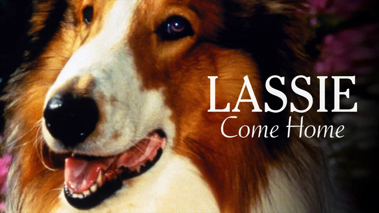 Lassie Come Home still