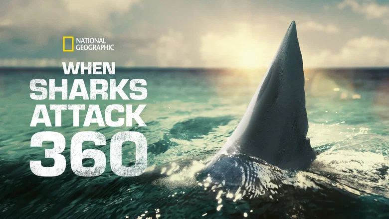When Sharks Attack 360 still