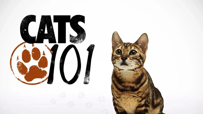 Cats 101 still