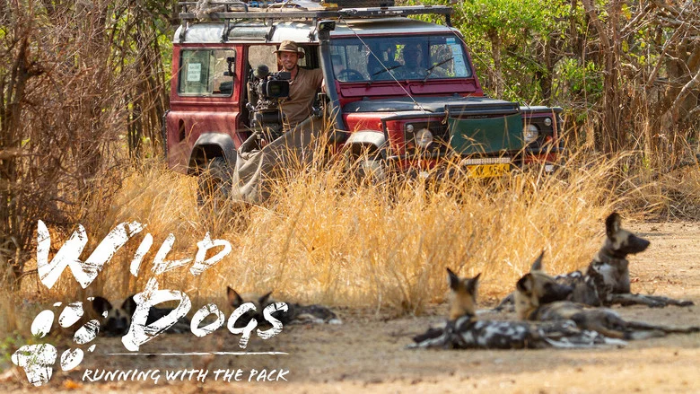 Wild Dogs: Running with the Pack still