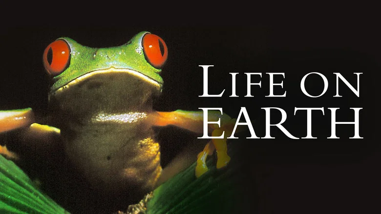 Life on Earth still