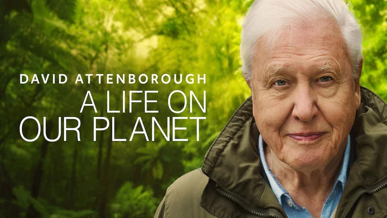 David Attenborough: A Life on Our Planet still