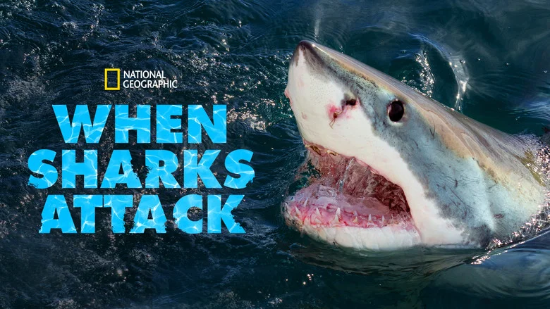 When Sharks Attack still