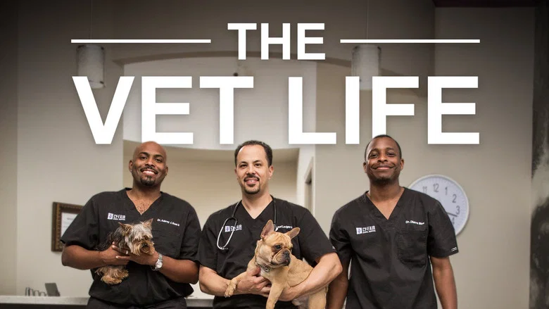 The Vet Life still
