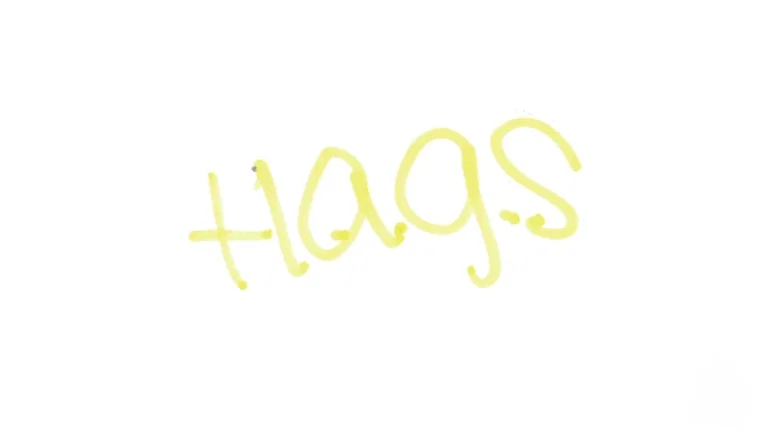 H.A.G.S. (Have a Good Summer) still