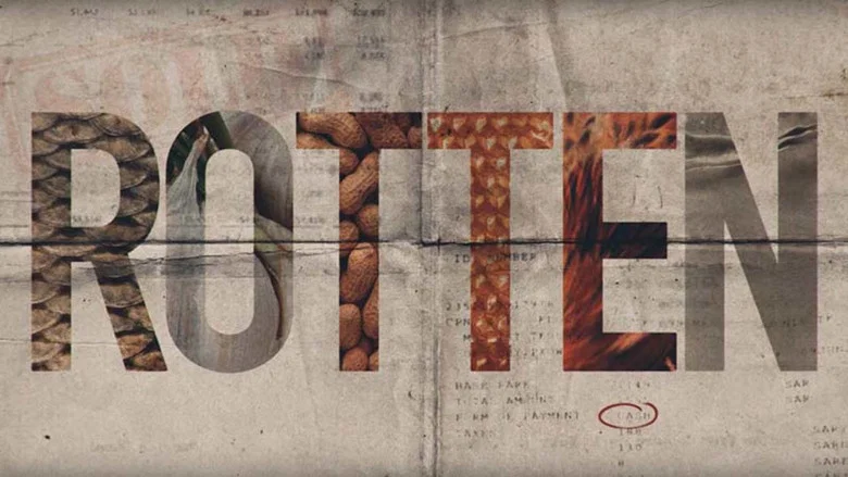Rotten still
