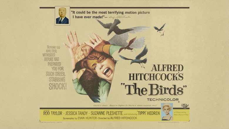 The Birds still