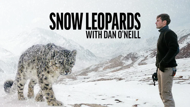 Snow Leopards with Dan O'Neill still