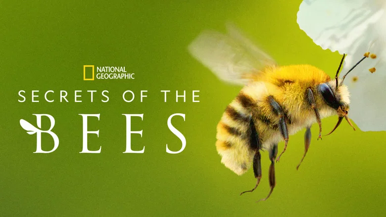 Secrets of the Bees still