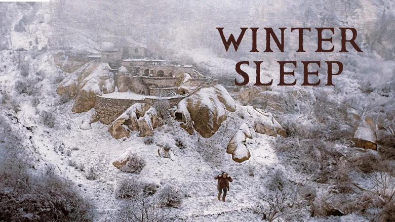Winter Sleep still