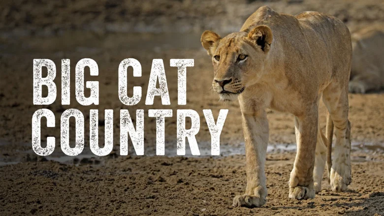 Big Cat Country still