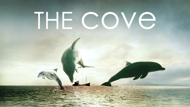 The Cove still