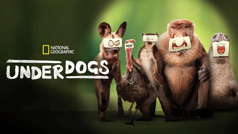 Underdogs still