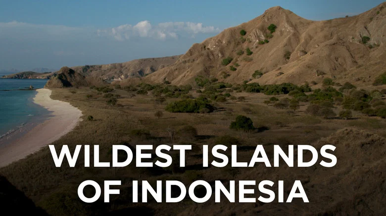 Wildest Islands of Indonesia still