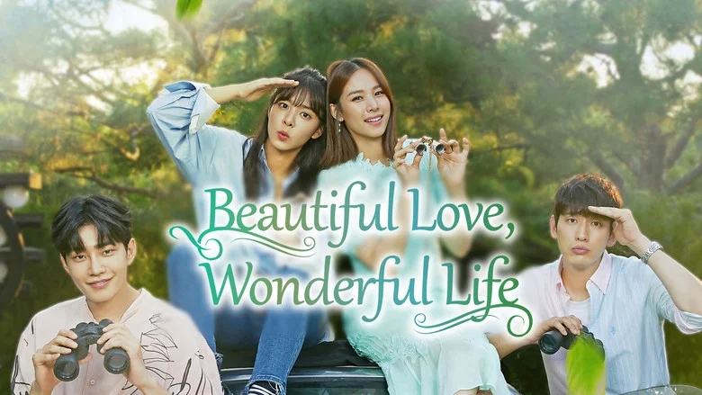 Beautiful Love, Wonderful Life still