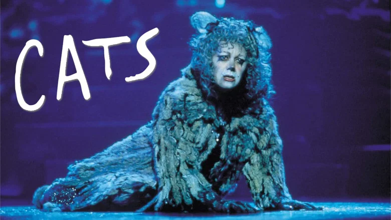 Cats still