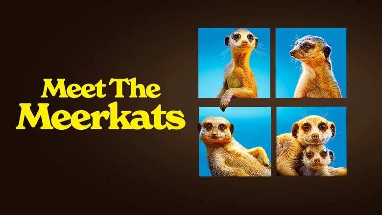 Meet The Meerkats still
