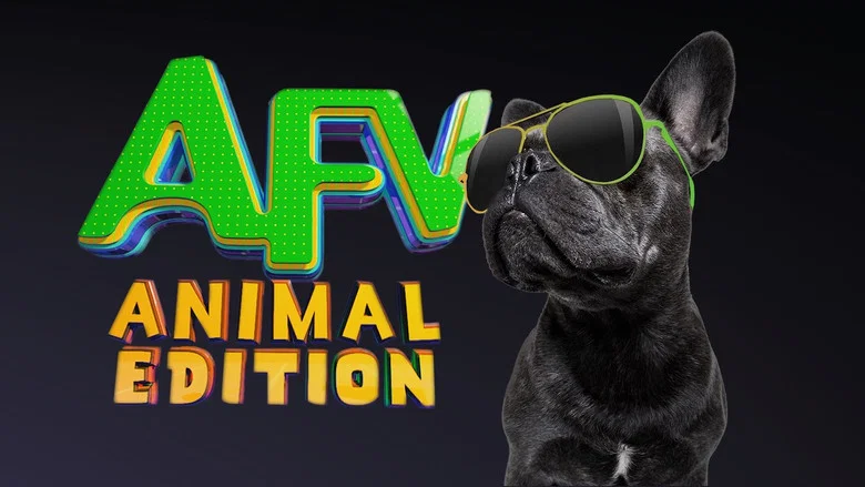 America's Funniest Home Videos: Animal Edition still