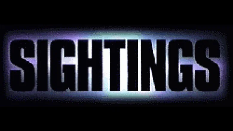 Sightings still