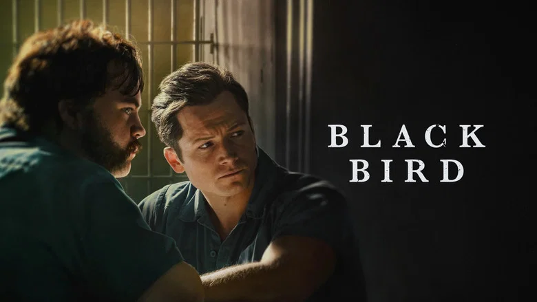 Black Bird still